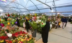 بازار گل و گیاه اصفهان