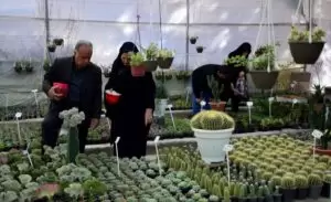 بازار گل و گیاه اصفهان